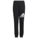 Adidas Παιδικό παντελόνι φόρμας Essentials Regular Fit Big Logo Cotton Pants